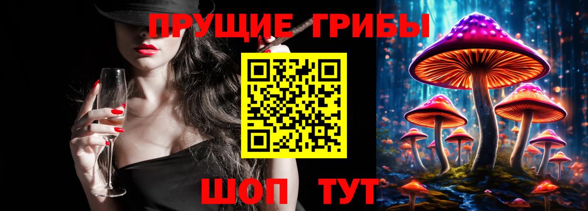 Стерлитамак  Галлюциногенные грибы мицелий  Псилоцибиновые грибы GOLDEN TEACHER  купить наркотик  Вход с VPN 